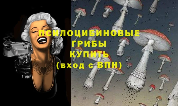 сатива Балабаново