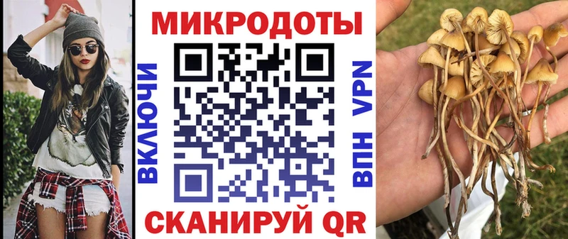 Купить  Старая Русса  Галлюциногенные грибы Magic Shrooms 